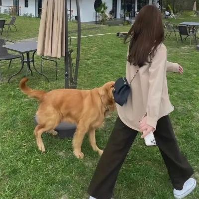 小狗的巡警先生